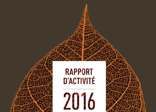 Rapport d'activité